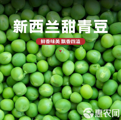 佳粒园 速冻甜青豆1kg/袋酒店餐饮饭店蔬菜新鲜嫩豆子