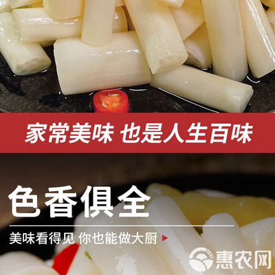 洪湖藕带泡椒藕尖400g开袋即食酸辣脆藕带新鲜凉菜酒店饭店